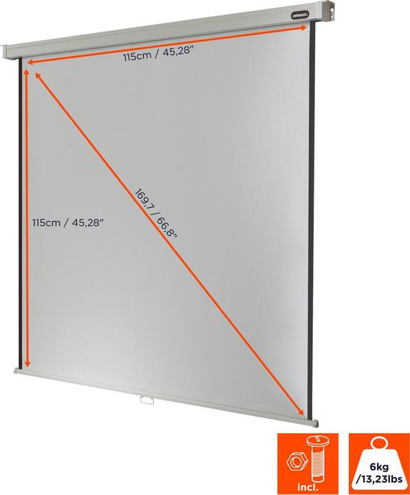 Actual product image Celexon Professional manual - screen - ceiling mounting possible, suitable for wall mounting (64.17", 16:9)