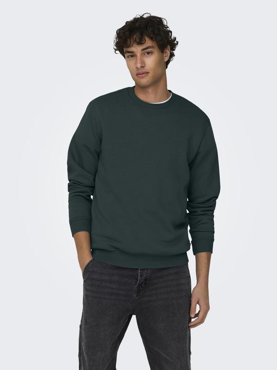 Produktbild Only & Sons Onsceres Crew Neck Noos (XS)