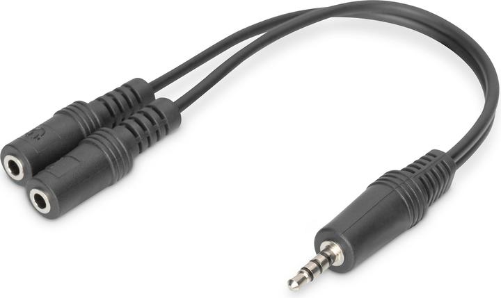 Digitus Câble adaptateur pour casque d'écoute TRRS (Adaptateur de casque)