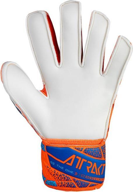 Produktbild Reusch Attrakt Solid (6)