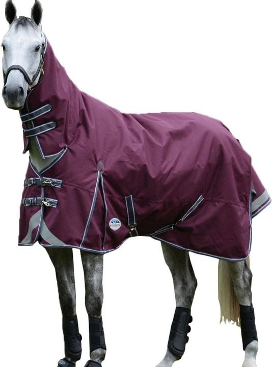 Immagine prodotto Weatherbeeta Comfitec Plus Dynamic Ii Collare Combo Tappeto da Scuderia per Cavalli (190.50 cm)