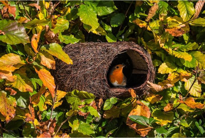 Immagine prodotto Wildlife World Cassetta nido