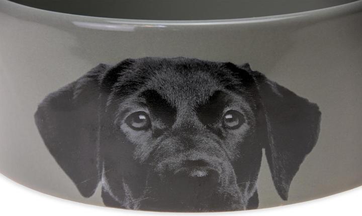 Image du produit Karlie Gamelle pour chien en céramique (1.50 l)