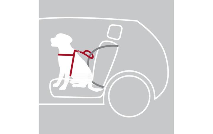 Image du produit Trixie Harnais de protection pour la voiture (Chien, Réflecteurs, Pliable)