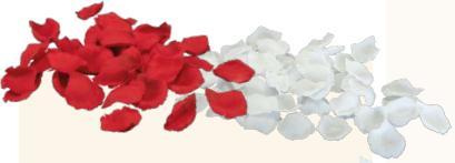 Produktbild Dekomat Kunstblume Rosenblütenblätter 60 Stück, Weiss