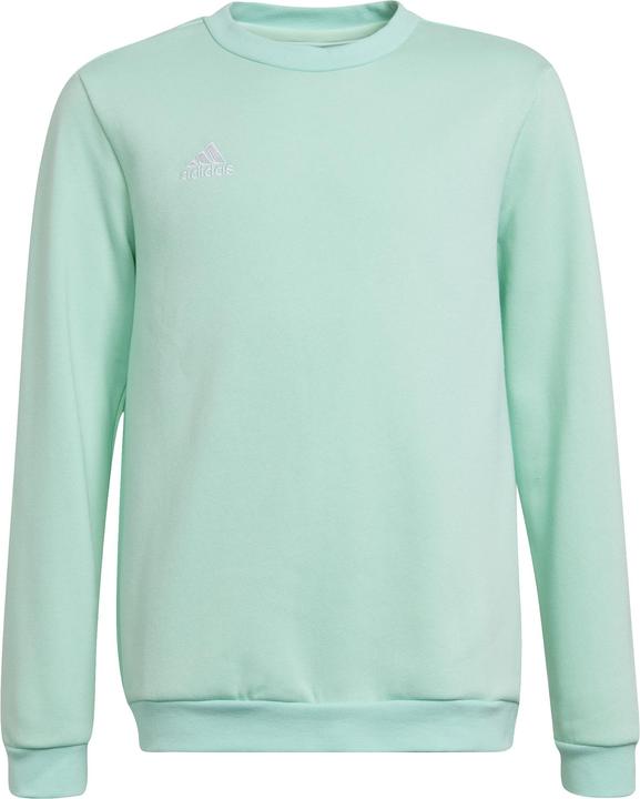 Turquoise Green