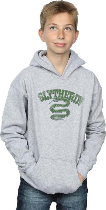 Actual product image Boys Slytherin Sport Emblem Hoodie (140, 146)