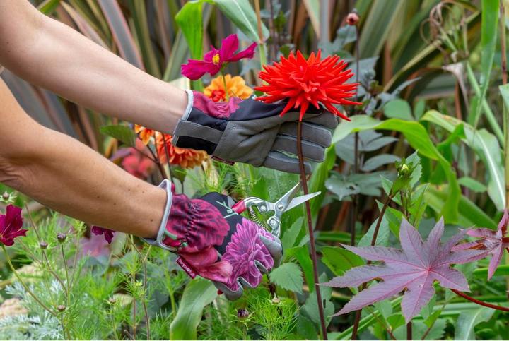 Immagine prodotto Burgon & Ball British Bloom (L)