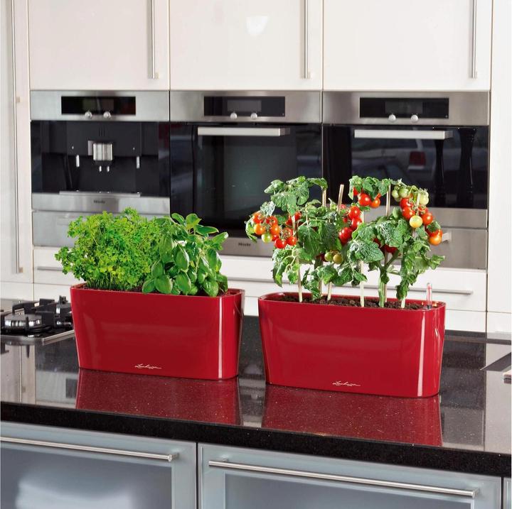 Produktbild Lechuza Delta (15 cm)