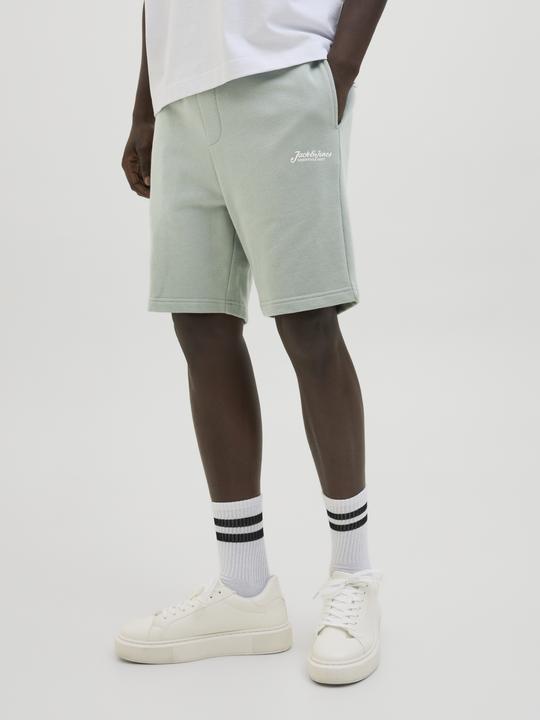 Immagine prodotto Jack & Jones Regular Fit Shorts Shorts (XS)