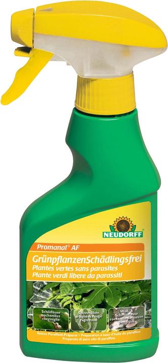 Neudorff Promanal AF (Cochenilles farineuses, Tétranyque rouge)