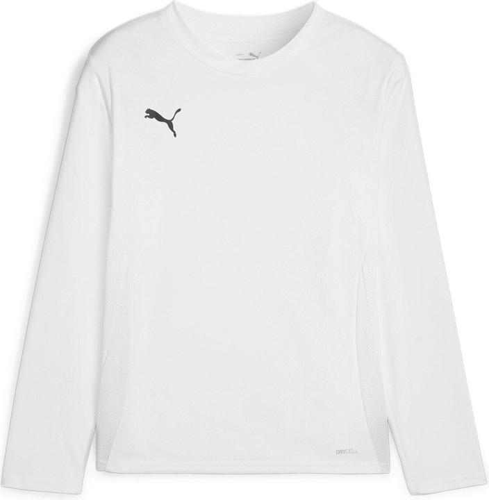 Actual product image Puma teamGOAL LS Jersey Jr (116)