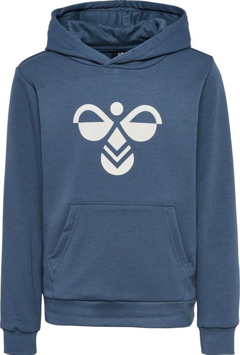 Actual product image hummel hmlCUATRO HOODIE (122)