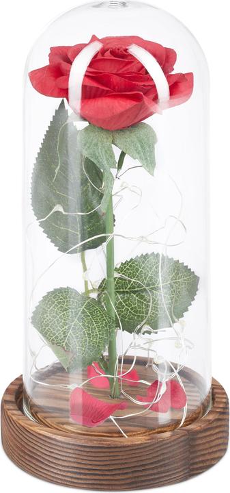Immagine prodotto Relaxdays Rosa eterna (11 x 11 x 22 cm)