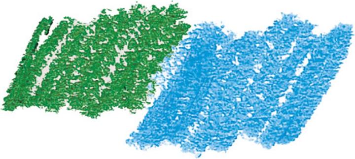 Actual product image Djeco Wax crayon colors (Multicoloured, 8 x)