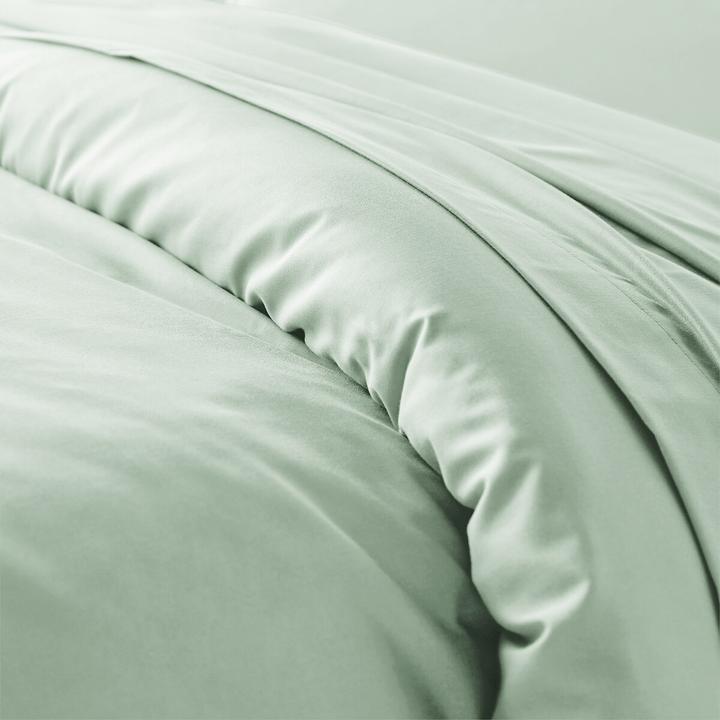 Image du produit La Redoute Interieurs Scénario Polycoton (260 x 240 cm)