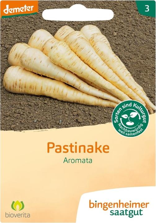 Produktbild Bingenheimer Saatgut Pastinake Aromata (Gemüsesamen)