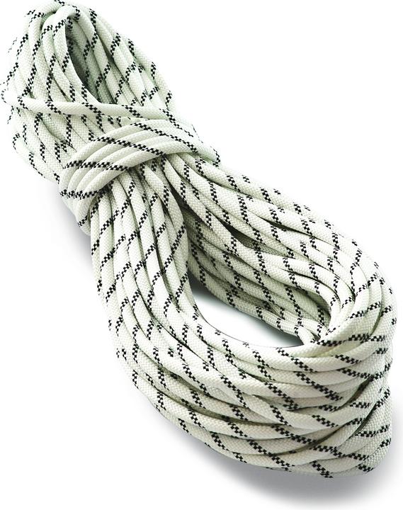 Actual product image Tendon PRO WORK 11 static rope (20 m)