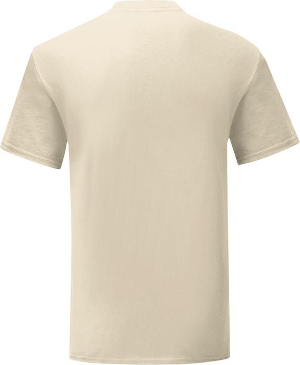 Actual product image Fruit of the Loom Mens Iconic T-Shirt (L)