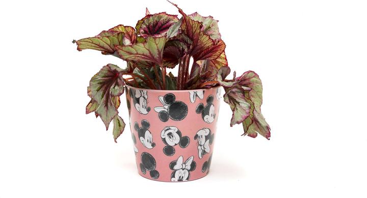 Produktbild Jardinopia Blumentopf Eco Pots Micky, Pink, 3er Set (14 cm)