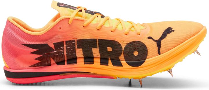 Image du produit Puma evoSPEED Longue Distance Nitro Elite 2 (43)