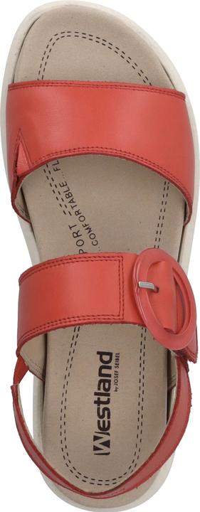 Immagine prodotto Westland 25408-409 (41)