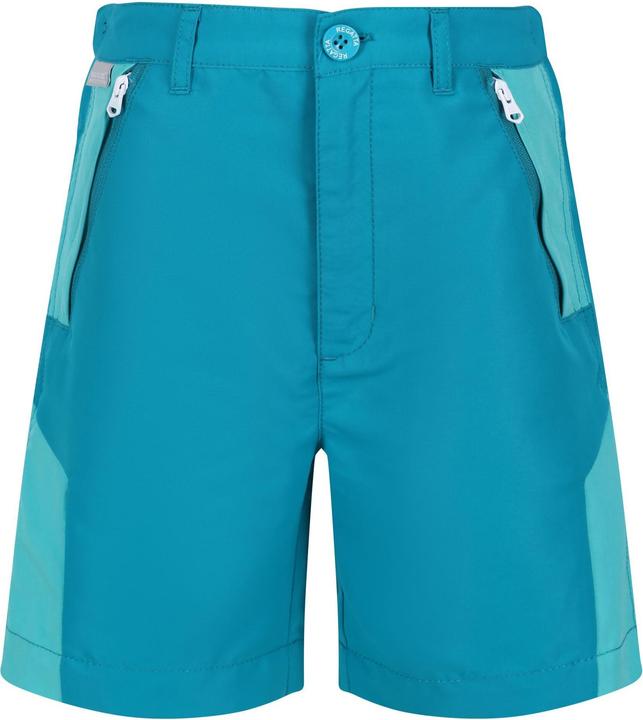Regatta Sorcer II Shorts
