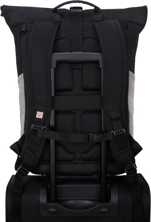 Actual product image Johnny Urban Allen (19 l)