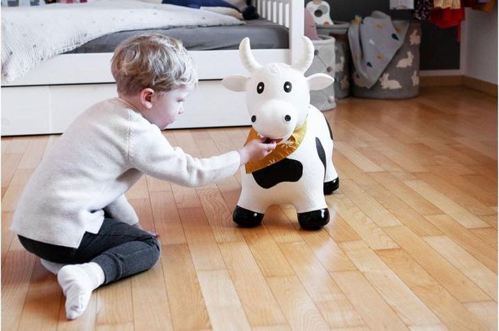 Produktbild Kindsgut Hüpftier