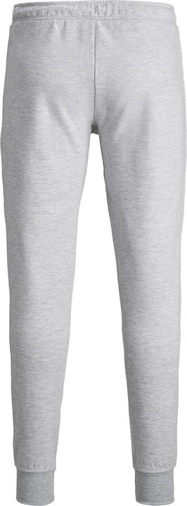 Actual product image Jack & Jones Will Jair Sweatpants (S)
