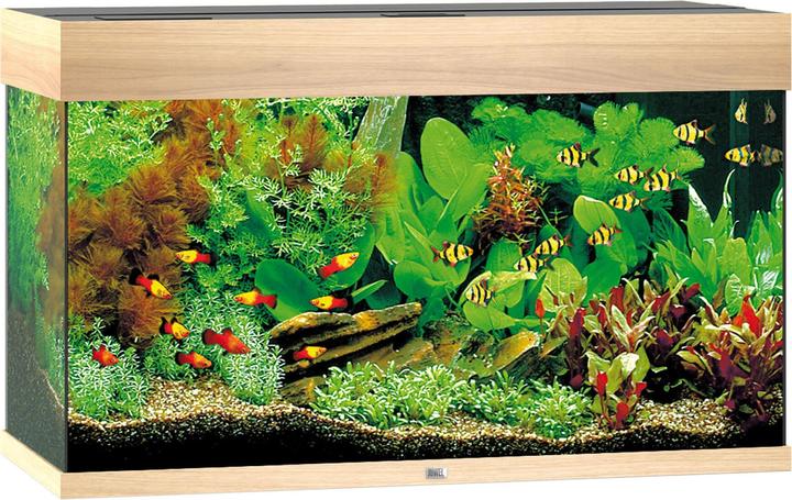 Image du produit Juwel Aquarium Rio (125 l)