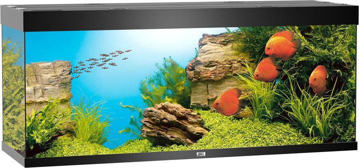Actual product image Juwel Aquarium Rio (450 l)