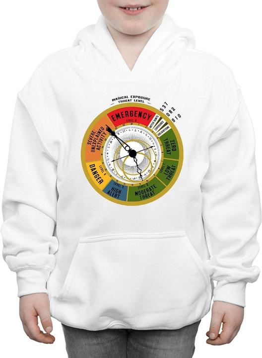 Actual product image Fantastic Beasts Boys Threat Level Hoodie (140, 146)