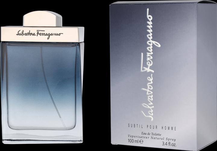 Image du produit Salvatore Ferragamo Subtil (Eau de toilette, 100 ml)
