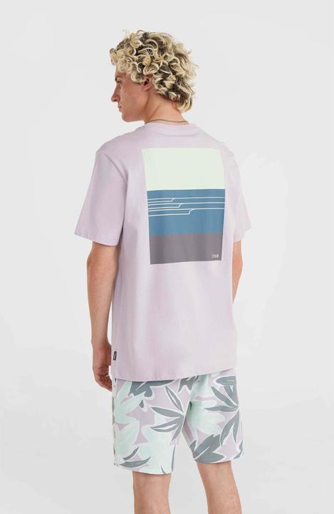 Produktbild O'Neill Og Tres T-Shirt (XL)