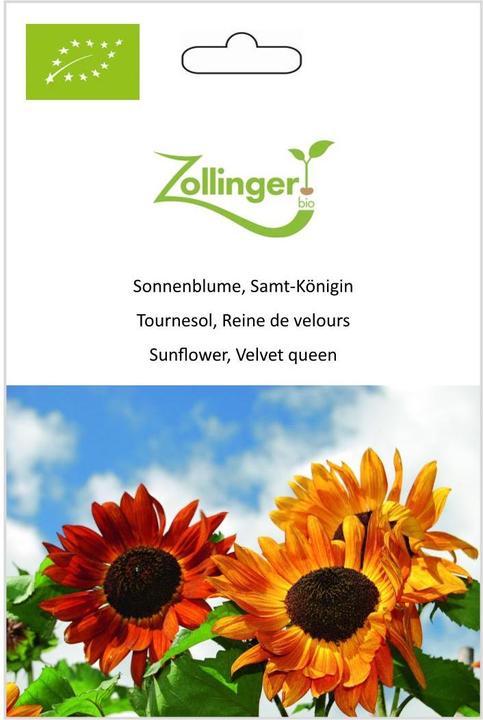 Immagine prodotto Zollinger Bio Girasole, Regina di velluto (Semi di fiori)