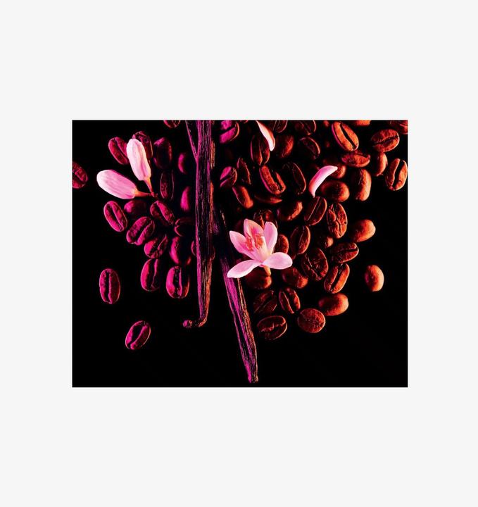 Produktbild Yves Saint Laurent Black Opium (Eau de Parfum, 30 ml)