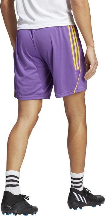 Actual product image adidas Tiro 23 League Shorts (M)