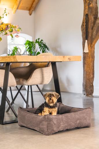 Productafbeelding Designed by Lotte Geribbeld (Hond)