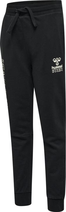 Actual product image hummel Hmlglobal Pants (104)