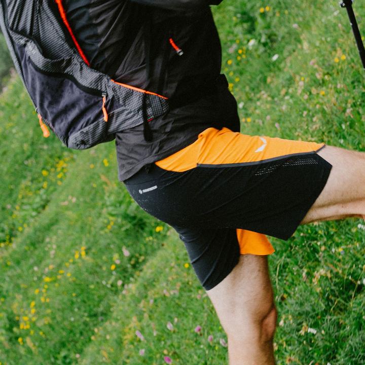 Immagine prodotto Salewa PEDROC 2 DST Herren SHORTS (L)