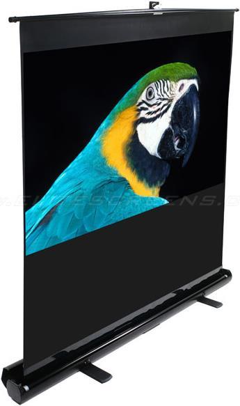Actual product image Elite Screens ezCinema F120NWV (120", 4:3)