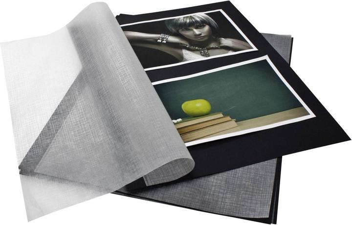 Goldbuch Fotokarton DIN A4 mit Pergamyn 20 Blatt 83006 (A4)