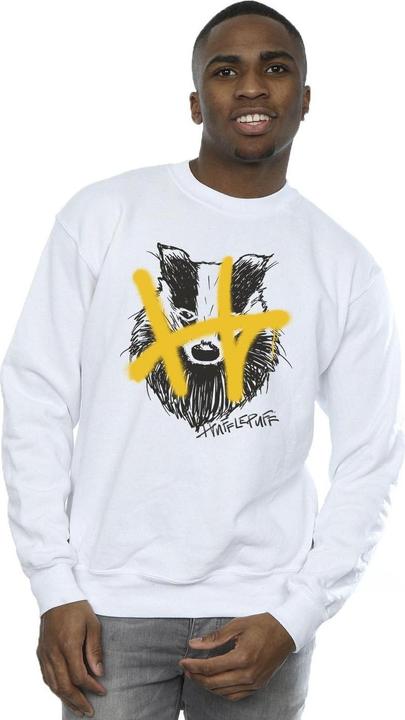 Actual product image Mens Hufflepuff Pop Spray Sweatshirt (XL)