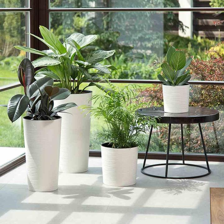 Immagine prodotto Siena Garden Moderno (25 cm)
