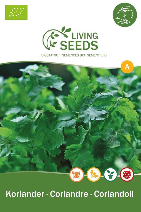 Living Seeds coriander (Herb seeds)