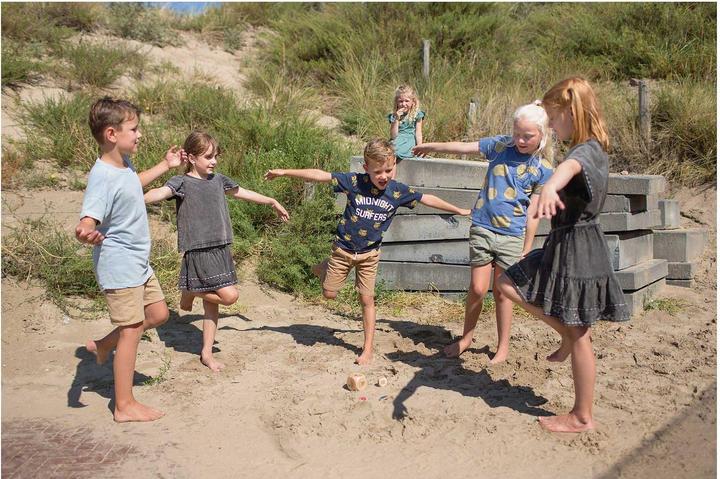 Immagine prodotto BS Giocattoli Uccelli in Azione Legno - Facile per i bambini (Tedesco, Francese, Italiano)