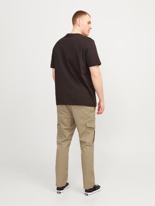 Actual product image Jack & Jones Jpstace Jjsummer Cargo Pls (W44/L34)