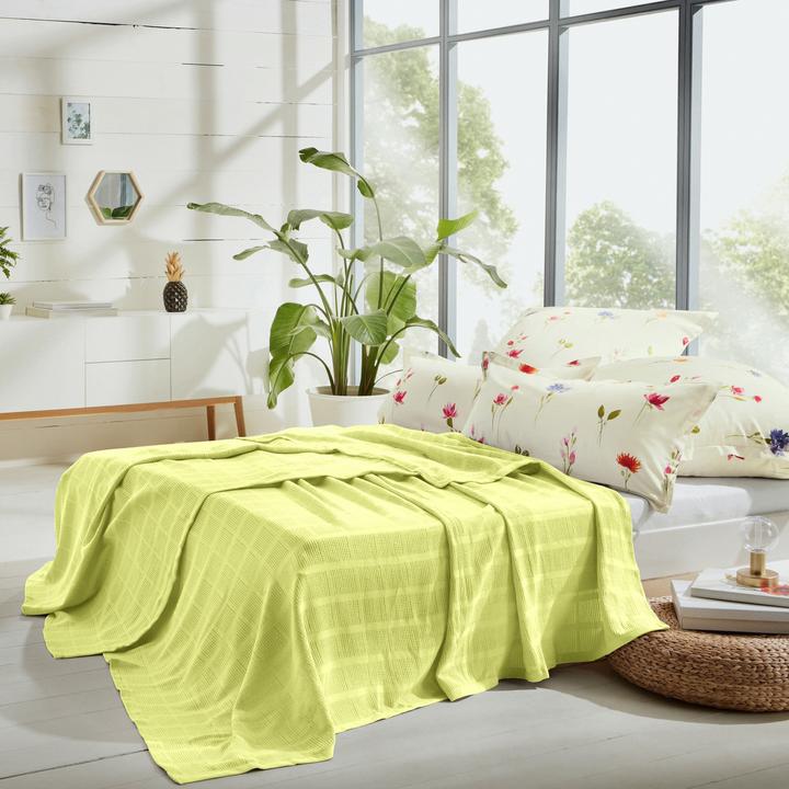 Produktbild Erwin Müller Sommerdecke (220 x 240 cm)
