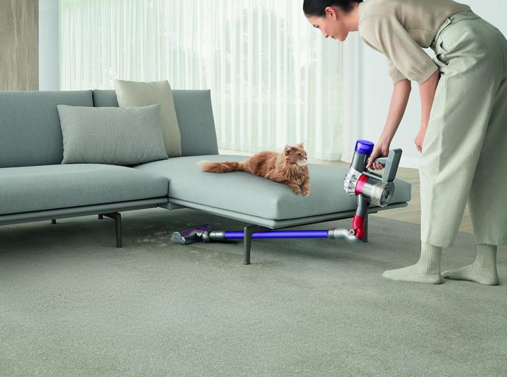 Actual product image Dyson V8 Origin